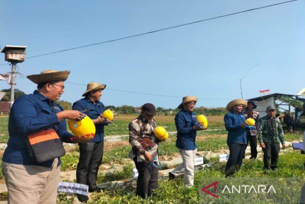 Universitas Brawijaya bina petani kembangkan agrowisata pada Pamekasan